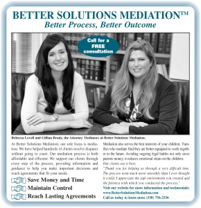 Better Solutions Newspaper Advertisement